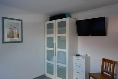 Zeesterren