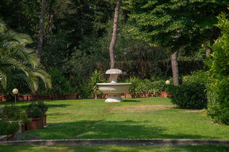 Villa Micol – Garten mit jahrhundertealten Bäumen