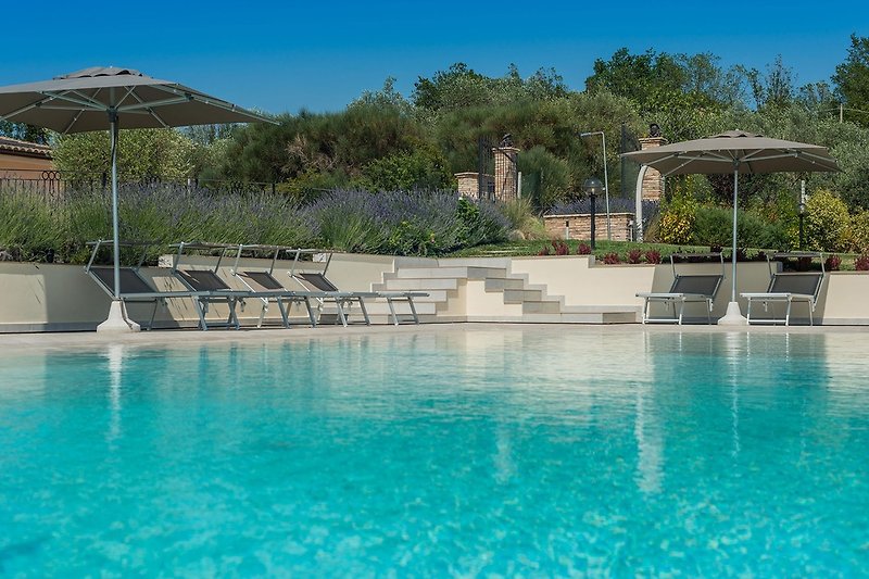 Villa Flavia - Schwimmbad mit Liegestühlen und Sonnenschirmen