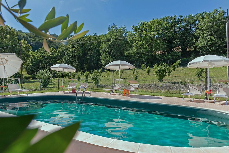 Villa Rosa - Poolbereich vom Garten umgeben