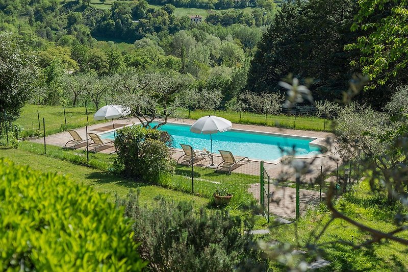 Casale San Francesco - magnificent pool (10x5) immersed in the green for moments of pure pleasure
