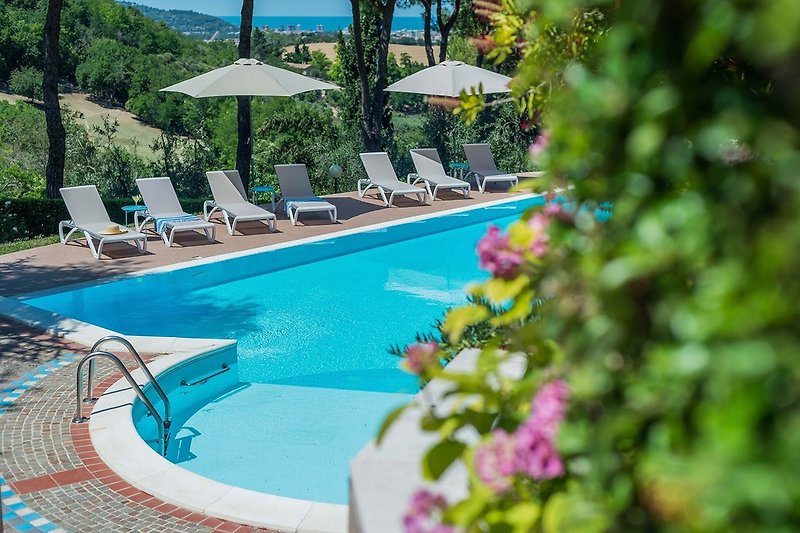 Villa Luisa - Pool mit Sonnenschirmen und Liegestühlen