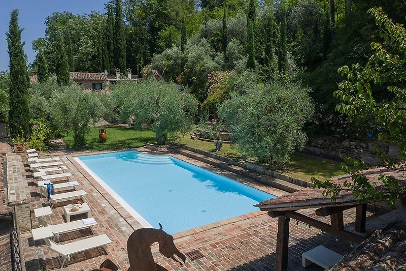 Villa Cavalli - magnificent pool in the nature (14x7)