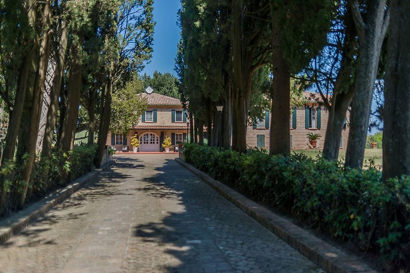 Villa Nina – Der Eingang zur Villa besteht aus einem langen und eindrucksvollen Weg, der von Zypressen gesäumt ist