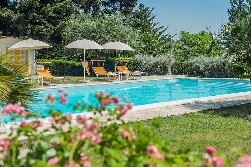 Villa La Capuccina - ausgestatteter Pool (12x5,5) mitten im Grünen