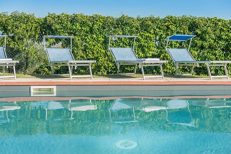 Villa Candelara - Schwimmbad mit Liegestühlen