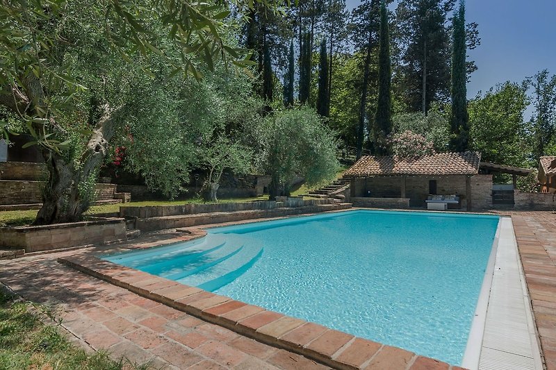 Villa Cavalli - magnificent pool in the green (14x7)