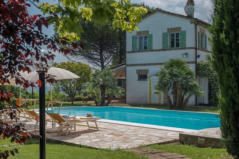 Villa La Capuccina - marvelous pool (12x5,5) for moments of well-being