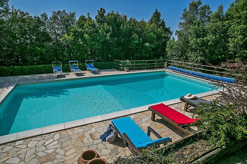 Casa Betty - Pool surrounded by woods and vegetation