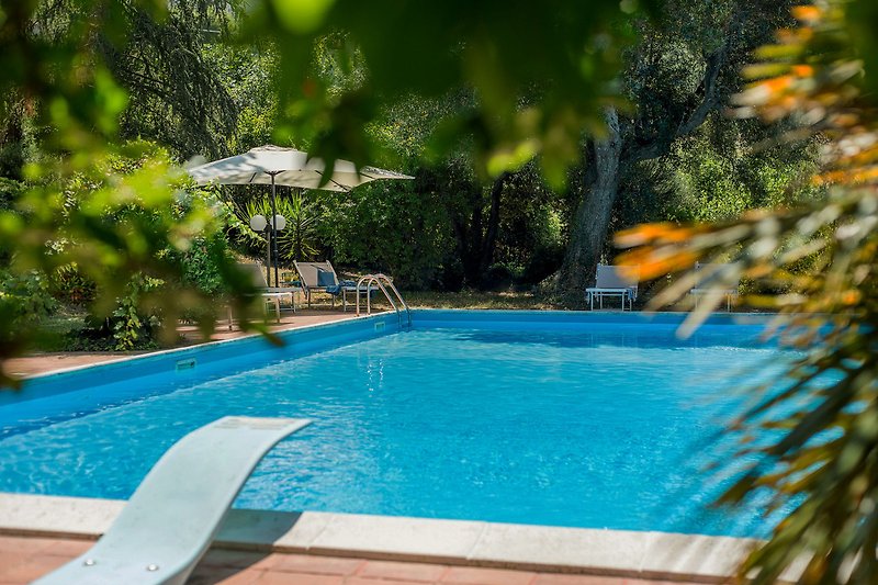 Villa Lucia - Swimming Pool 14x7 - Depth 1,20-2,50