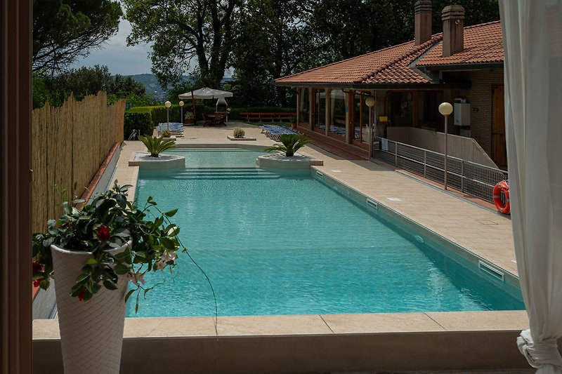 Villa Micol - Salt water swimming pool