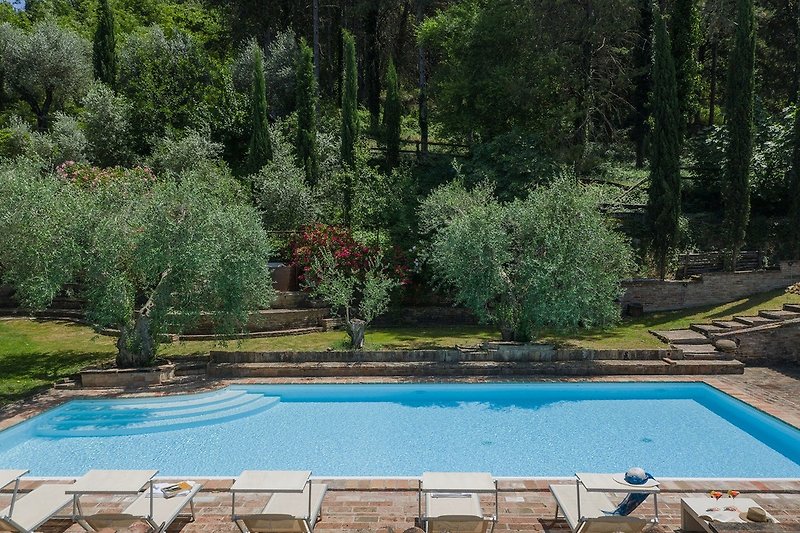 Villa Cavalli - equipped pool (14x7) with beach chairs immersed in the green