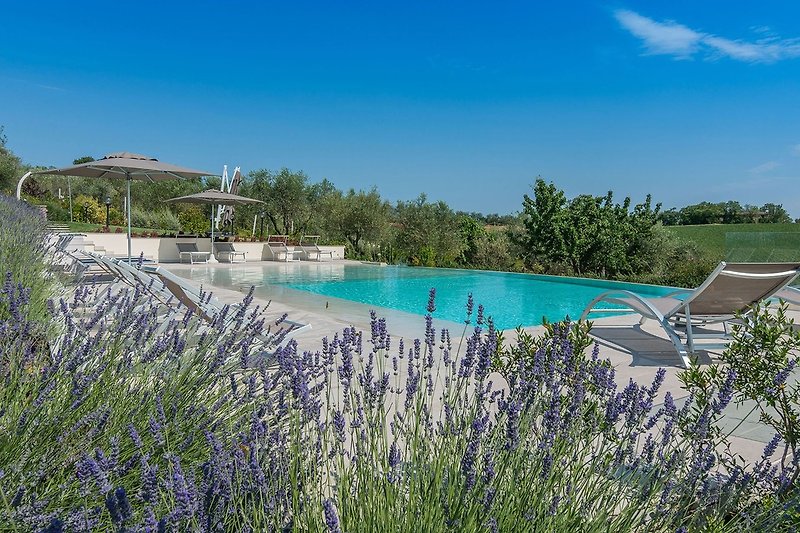 Villa Flavia - Panoramic pool