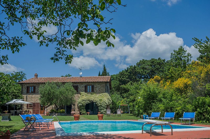 Villa Petroia – Poolbereich mit Sonnenliegen