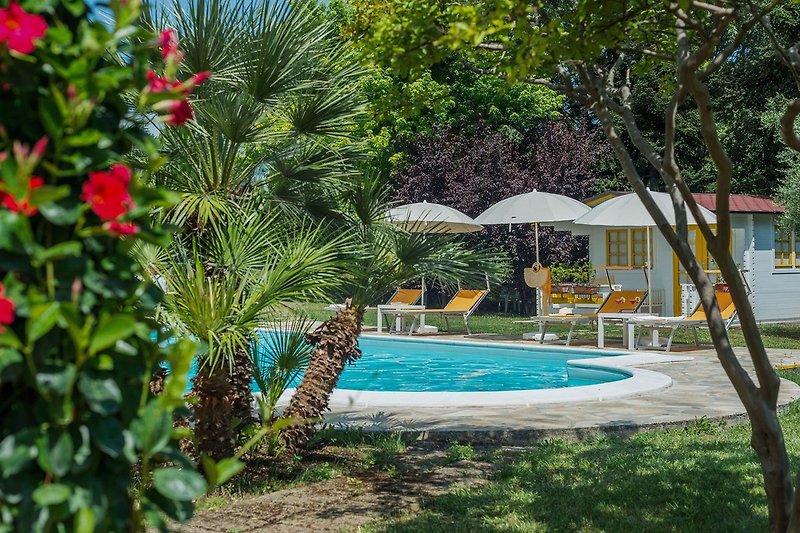 Villa La Capuccina - equipped pool (12x5,5)