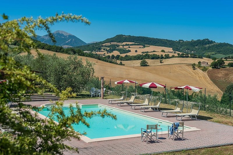 Casale Lucy - Swimming pool with sunbeds and umbrellas