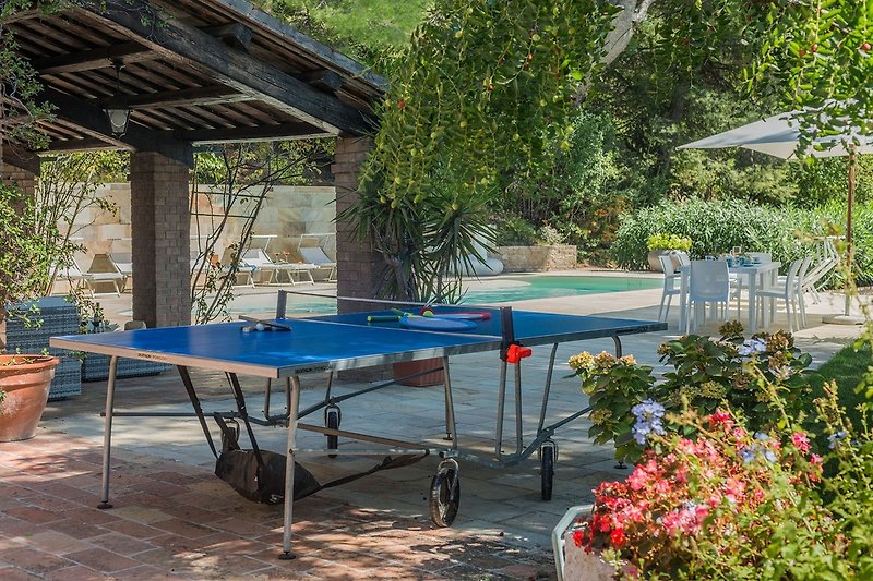 Villa Panorama - Ping-pong table