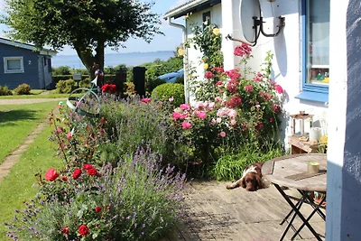 Brunsnæs-Ferienhaus mit Fördeblick