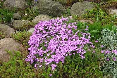 HausInMasuren
