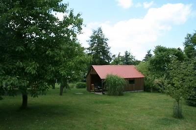 Appartamento di vacanza Fritzsch Falkenstein