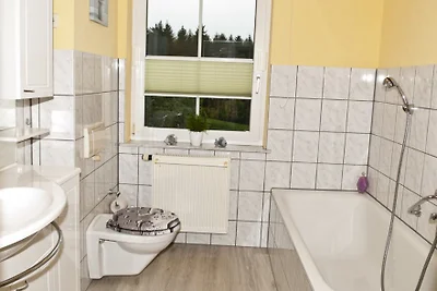 Appartamento di vacanza Fritzsch Falkenstein