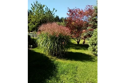 Appartamento di vacanza Fritzsch Falkenstein