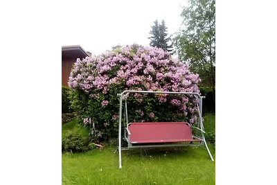Appartamento di vacanza Fritzsch Falkenstein