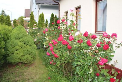 Holiday home relaxing holiday Vienna Liesing