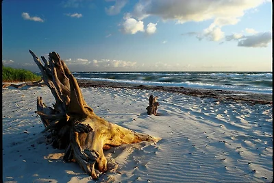 Domek letniskowy Urlop wypoczynkowy Zingst