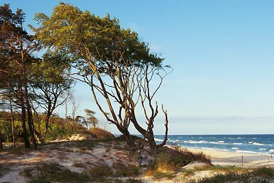 Domek letniskowy Urlop wypoczynkowy Zingst
