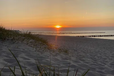 Holiday flat family holiday Zingst