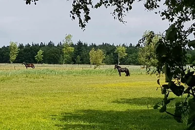 Dorfstr. OT Müggenburg 18a