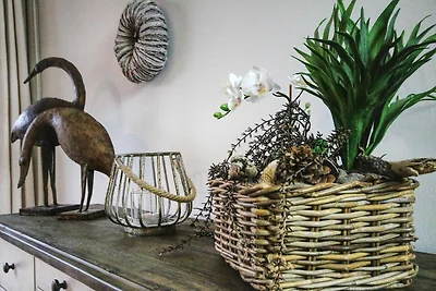 Appartamento Vacanza con famiglia Zingst
