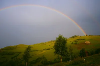 La Viorele