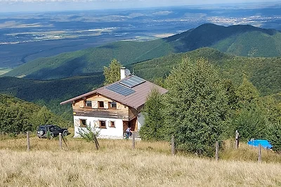 La Viorele