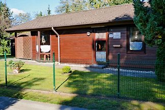 Ferienhauser Ferienwohnungen In Dankern Mieten