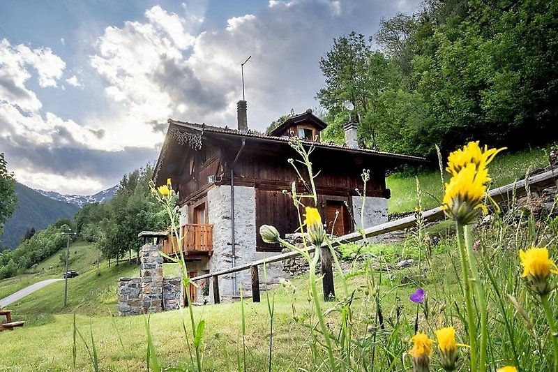 Chalet