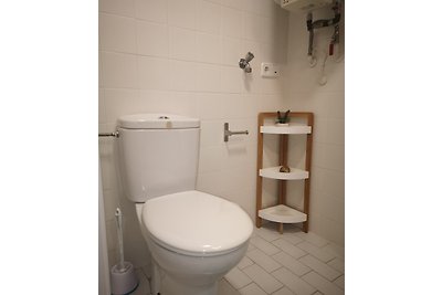 Appartement 3 Salins