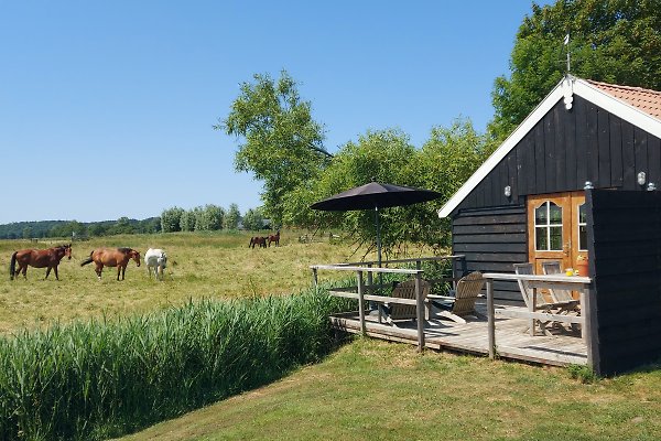 Ferienhaus Bergen