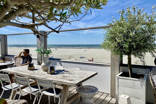 Vakantieappartement Castricum