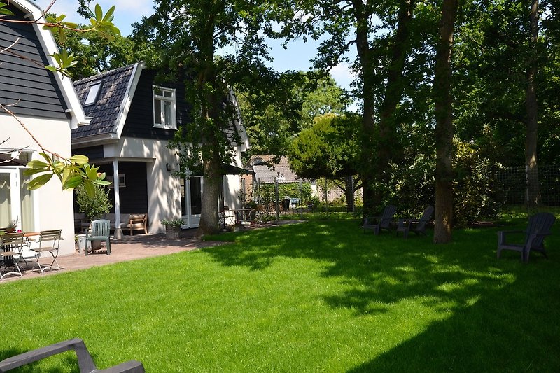 Garden with seating area