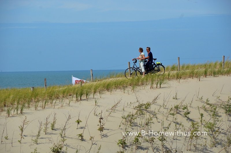Fahrräder am Strand mit Meerblick - perfekt für einen erholsamen Urlaub!