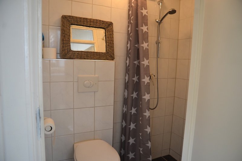 Kleine badkamer met douche en toilet