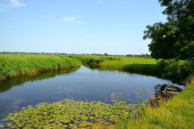 Vue sur le paysage de polder