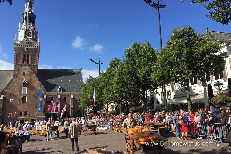 Targ serów w Alkmaar