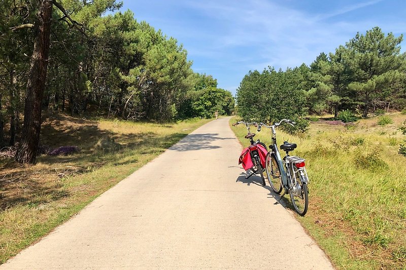 Fahrräder, Pflanzen und blauer Himmel - perfekt für einen aktiven Urlaub in der Natur!