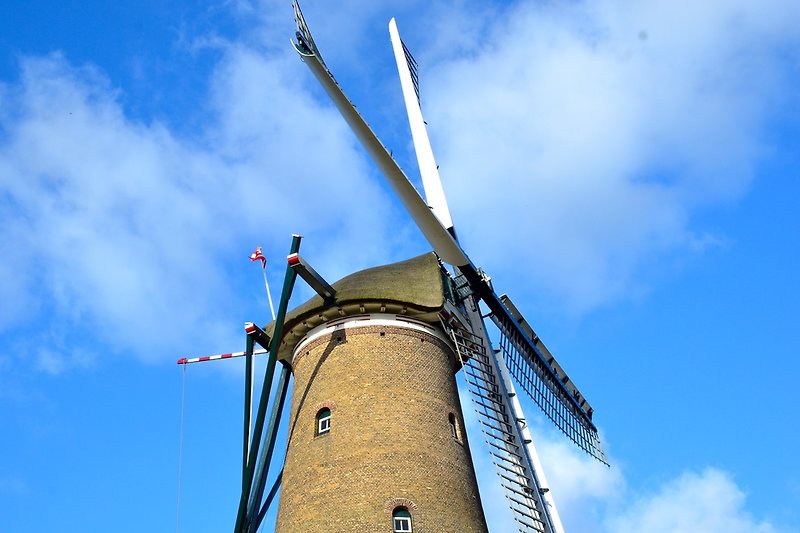 Molino de Piet, Alkmaar