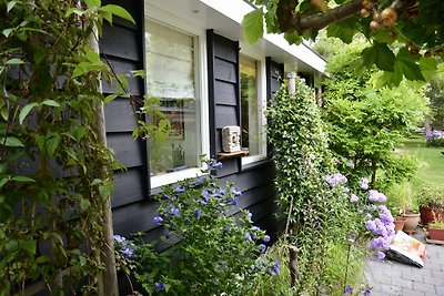 Ferienwohnung La Cabane