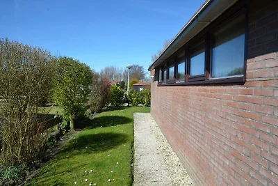 dijk 198