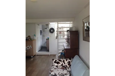 Beach House